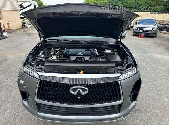 JN8AZ3DB3S9402007 2025 INFINITI QX80 Silver Вид ззаду
