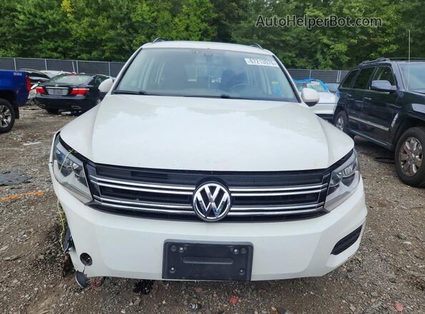 WVGBV7AX1GW613987 2016 VOLKSWAGEN TIGUAN White Widok z tyłu