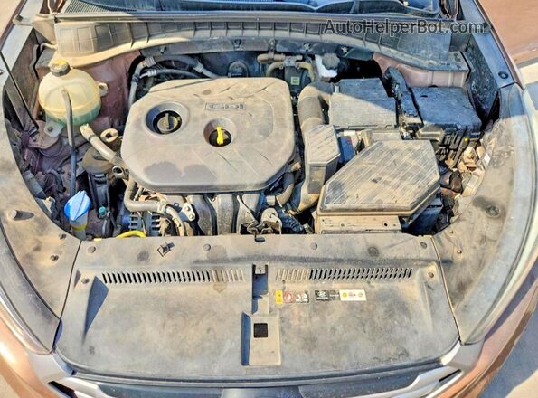 KM8J23A47HU430206 2017 HYUNDAI TUCSON Brown VIN sticker view