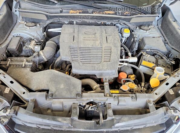 JF2SKAEC8PH443683 2023 SUBARU FORESTER Серебряный Вид наклейки с VIN-кодом