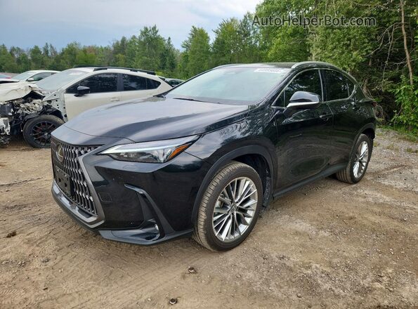 2T2GGCEZ8TC097053 2026 LEXUS NX Black უკანა მარცხენა