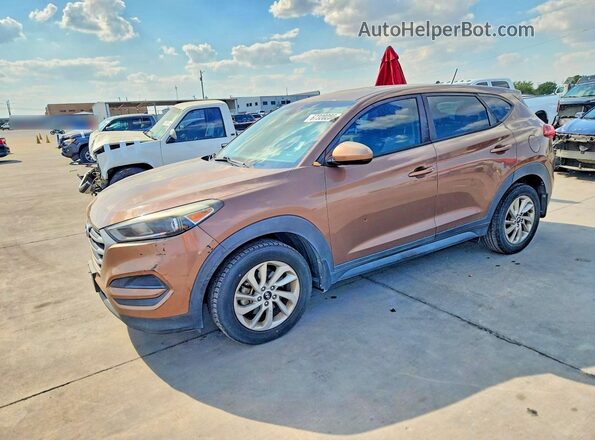 KM8J23A47HU430206 2017 HYUNDAI TUCSON Brown Rear left