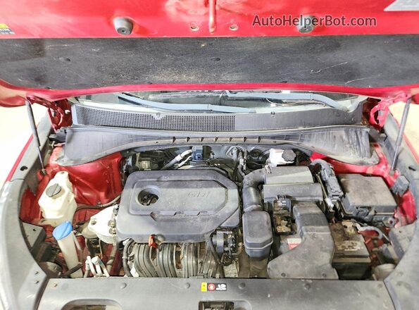5XYPGDA30HG267722 2017 KIA SORENTO Red VIN sticker view
