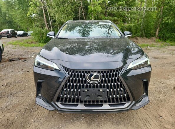 2T2GGCEZ8TC097053 2026 LEXUS NX Black უკანა ხედი