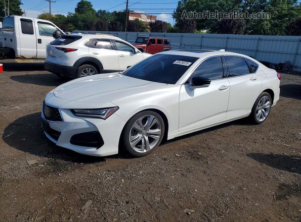 19UUB6F4XMA004535 2021 ACURA TLX White უკანა მარცხენა
