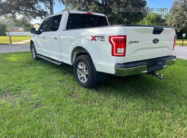 1FTFW1EFXHFA14234 2017 FORD F150 White Հետևի աջ