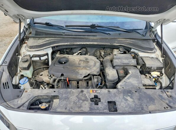 5NMS33AD0LH249583 2020 HYUNDAI SANTA Белый Вид наклейки с VIN-кодом