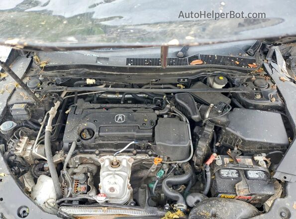 19UUB1F35GA006448 2016 ACURA TLX Black Vista interior trasera
