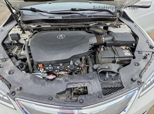 19UUB2F57GA010640 2016 ACURA TLX White უკანა სალონის ხედი