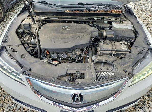 19UUB2F76GA002305 2016 ACURA TLX White უკანა სალონის ხედი