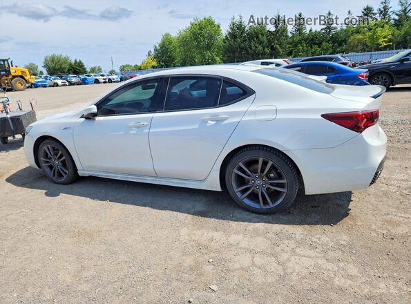 19UUB3F80LA800968 2020 ACURA TLX Белый Задняя левая четверть