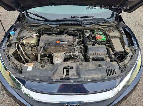 19XFC2F51GE216473 2016 HONDA CIVIC Blue Widok wnętrza z tyłu
