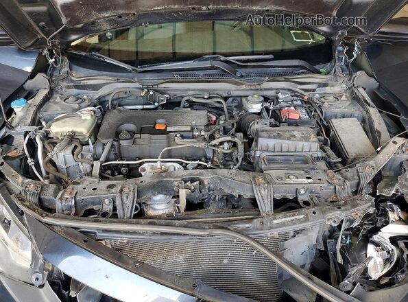 19XFC2F56GE203444 2016 HONDA CIVIC Blue Вид задньої частини салону