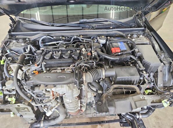19XFL1H79RE031096 2024 HONDA CIVIC Black Widok wnętrza z tyłu