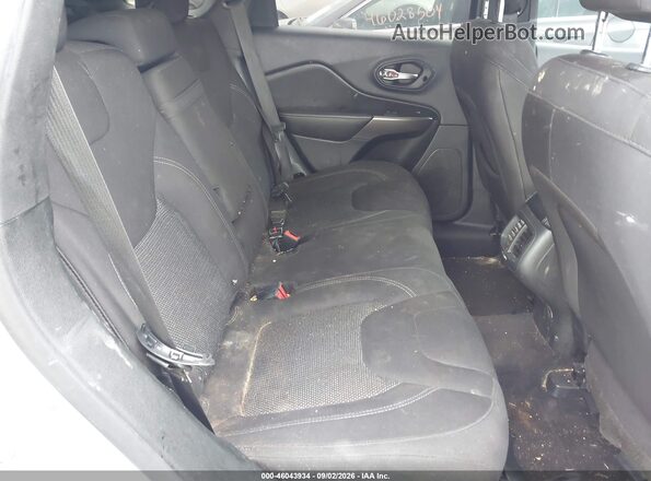 1C4PJLCB8KD205300 2019 JEEP CHEROKEE Серый Вид наклейки с VIN-кодом