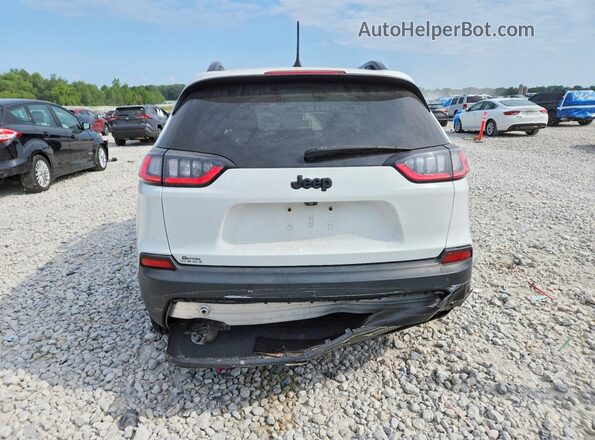 1C4PJLLB0KD392712 2019 JEEP CHEROKEE White Rear view