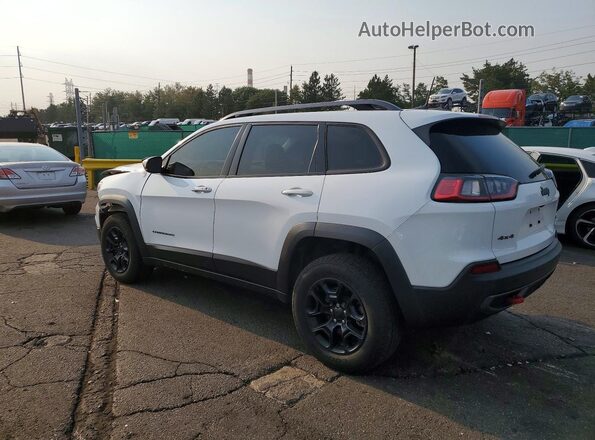 1C4PJMBX2LD508836 2020 JEEP CHEROKEE White Задня ліва чверть