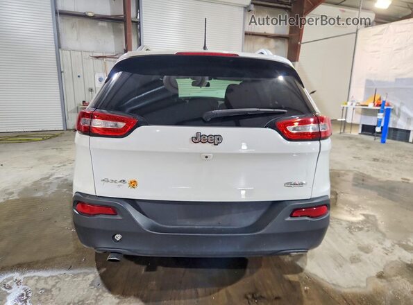 1C4PJMCB4HW655643 2017 JEEP CHEROKEE Белый Вид сзади