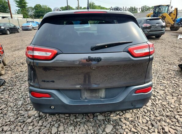 1C4PJMDB5HW525126 2017 JEEP CHEROKEE Gray Вид ззаду