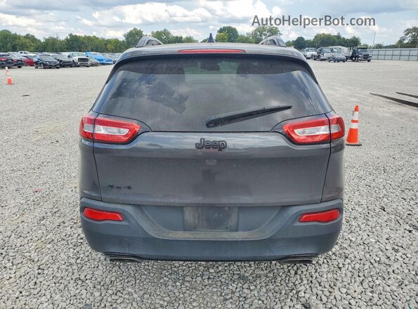 1C4PJMDS0HW560866 2017 JEEP CHEROKEE Gray Widok z tyłu