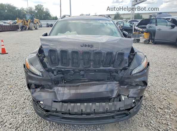 1C4PJMDS0HW560866 2017 JEEP CHEROKEE Gray Widok z przodu