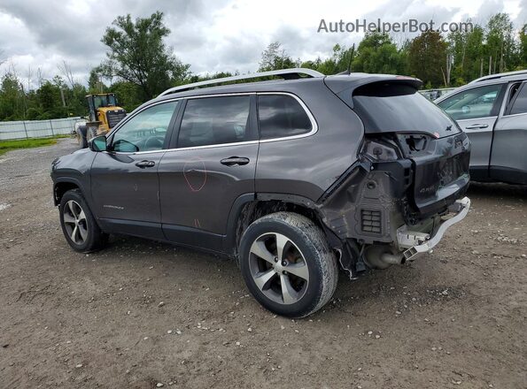 1C4PJMDX5LD621743 2020 JEEP CHEROKEE Silver Tył lewy