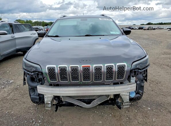 1C4PJMDX5LD621743 2020 JEEP CHEROKEE Silver Widok z przodu