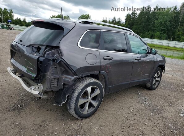 1C4PJMDX5LD621743 2020 JEEP CHEROKEE Silver Tył prawy