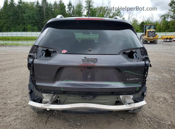 1C4PJMDX5LD621743 2020 JEEP CHEROKEE Silver Widok z tyłu