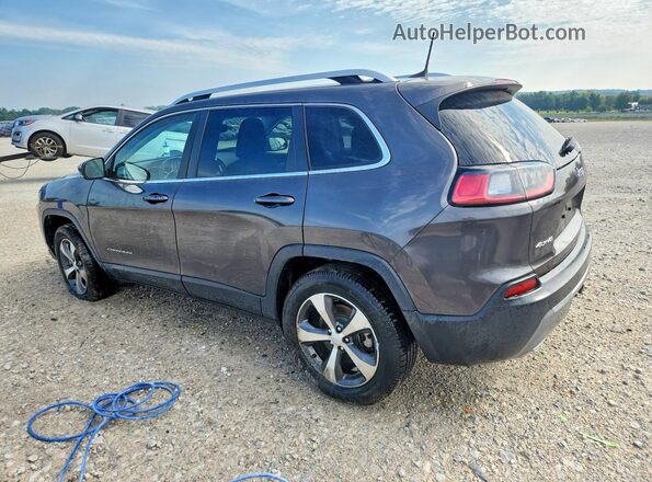 1C4PJMDX8LD641033 2020 JEEP CHEROKEE Charcoal Задня ліва чверть
