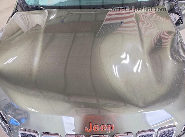 1C4PJMLB3KD195698 2019 JEEP CHEROKEE Green უკანა სალონის ხედი