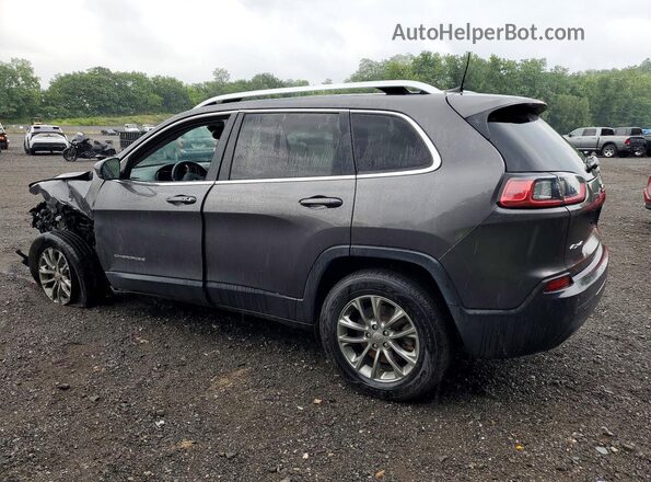 1C4PJMLB7KD426876 2019 JEEP CHEROKEE Серый Задняя левая четверть