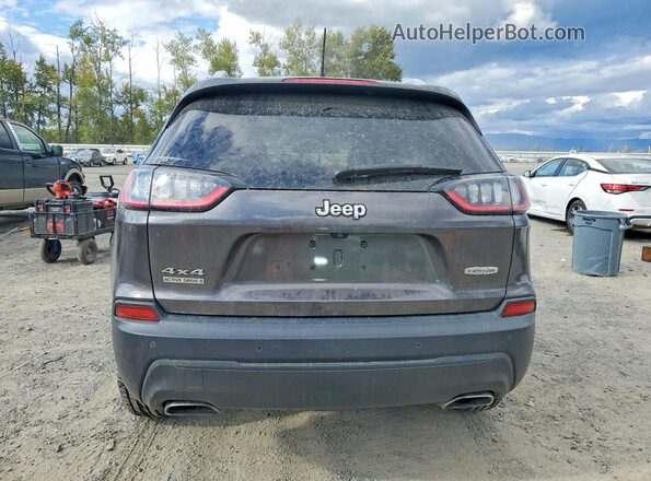 1C4PJMLN6KD275510 2019 JEEP CHEROKEE Gray უკანა ხედი