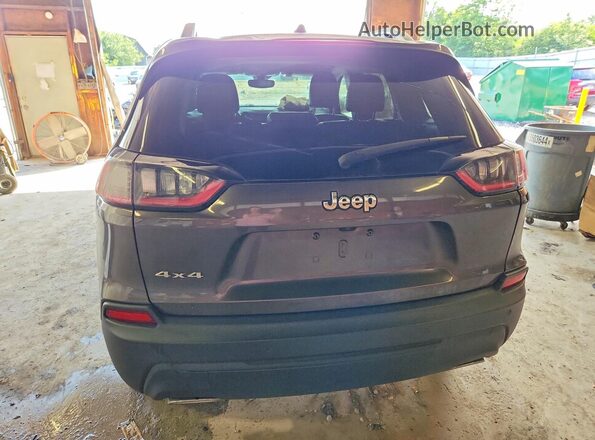 1C4PJMLX8LD635119 2020 JEEP CHEROKEE Gray Հետևի տեսք