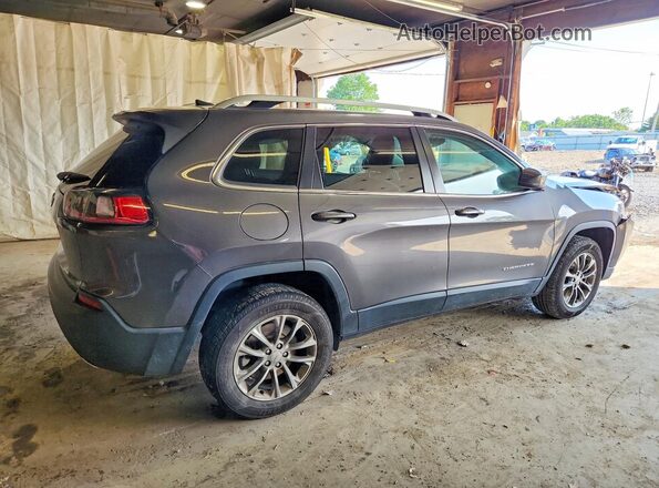1C4PJMLX8LD635119 2020 JEEP CHEROKEE Gray Հետևի աջ