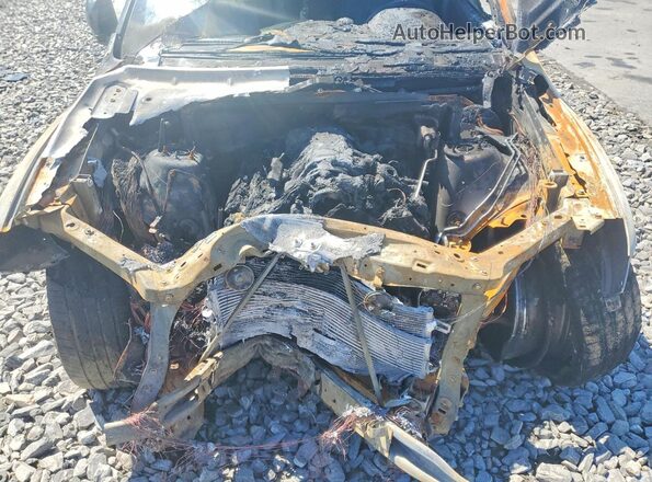 1C4SDJCTXJC341110 2018 DODGE DURANGO Gray Սալոնի հետևի տեսք