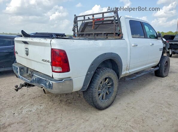 1C6RR7LT9GS329670 2016 RAM 1500 White Հետևի աջ