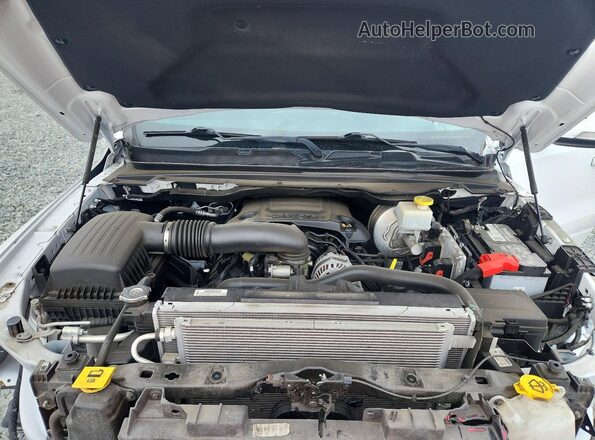 1C6SRFFT1MN735475 2021 RAM 1500 White Սալոնի հետևի տեսք