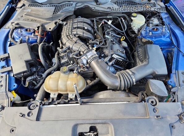1FA6P8AM1H5244377 2017 FORD MUSTANG Blue Widok wnętrza 360 stopni