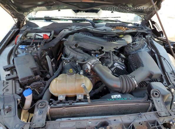 1FA6P8AM5H5343607 2017 FORD MUSTANG Серый Вид задней части салона