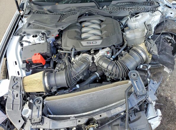 1FA6P8CF6S5407496 2025 FORD MUSTANG White უკანა სალონის ხედი