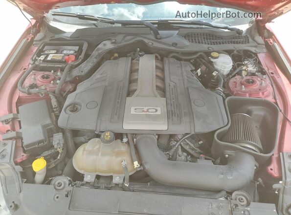 1FA6P8CF7K5124492 2019 FORD MUSTANG Бордовый Вид задней части салона