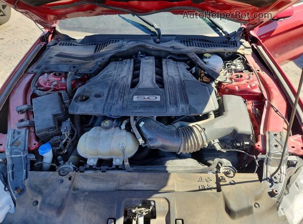 1FA6P8CF9N5146076 2022 FORD MUSTANG Red Սալոնի հետևի տեսք