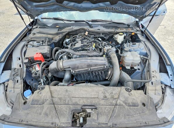1FA6P8TH0R5111613 2024 FORD MUSTANG Синий Вид задней части салона