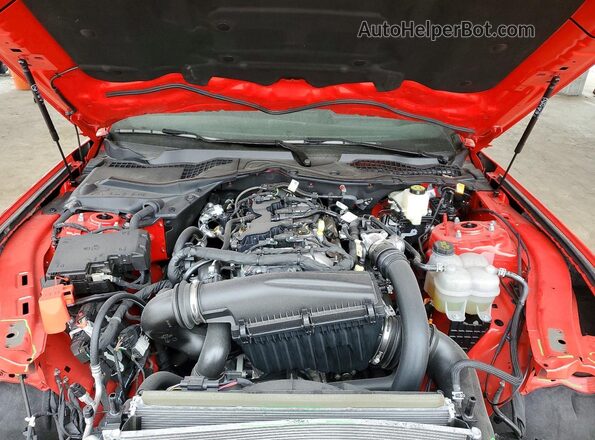 1FA6P8TH1S5121881 2025 FORD MUSTANG Красный Вид задней части салона
