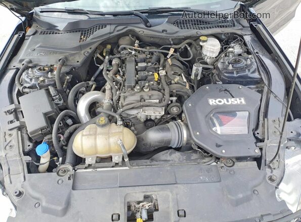 1FA6P8TH2M5113260 2021 FORD MUSTANG Blue Սալոնի հետևի տեսք