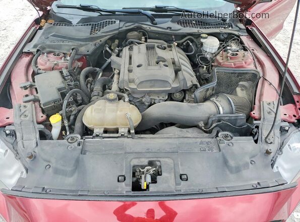 1FA6P8TH4K5196610 2019 FORD MUSTANG Красный Вид задней части салона