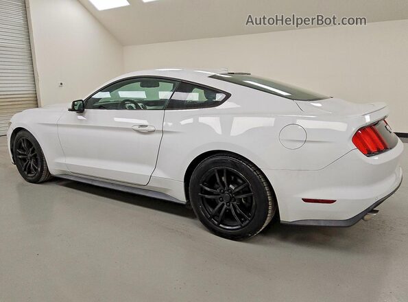 1FA6P8THXH5203262 2017 FORD MUSTANG White უკანა მარცხენა
