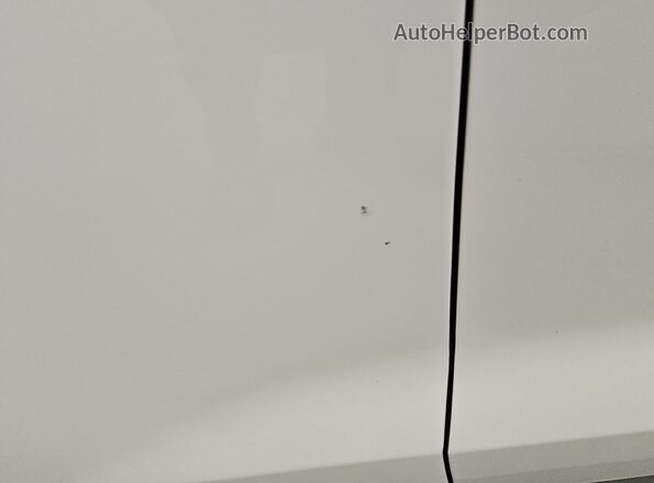 1FA6P8THXH5203262 2017 FORD MUSTANG White 