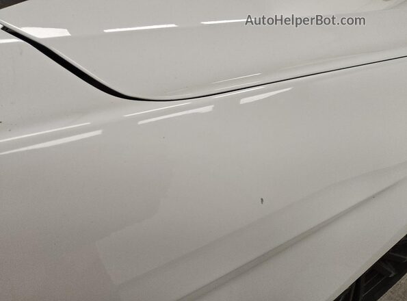 1FA6P8THXH5203262 2017 FORD MUSTANG White 